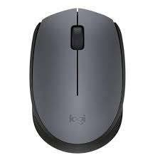 MOUSE M170